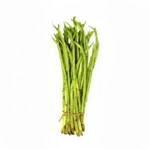 kochur Loti ( Stolon of Taro)